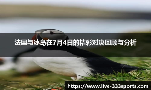 法国与冰岛在7月4日的精彩对决回顾与分析